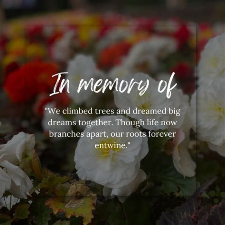 In Memoriam: Joyce Ptomey Obituary - Honoring A Life Well-Lived